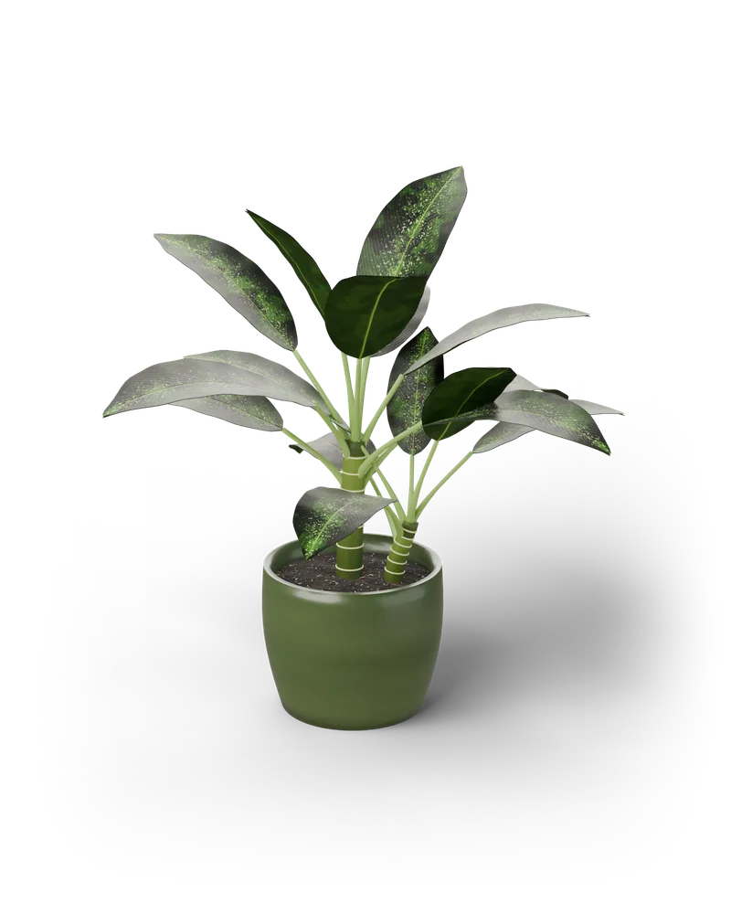 Modelo 3D de uma Dieffenbachia 'Crocodile' em vaso verde, com folhas grandes verde-escuras salpicadas